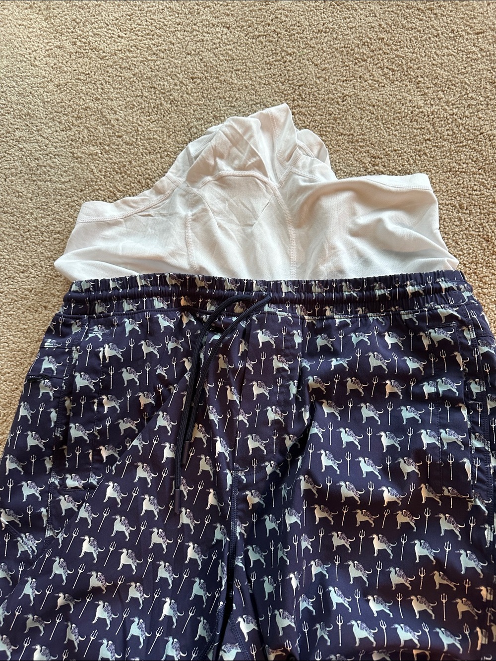 Birddogs swim trunks - Picture 4 of 12